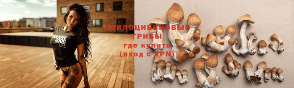 прущая мука Арсеньев