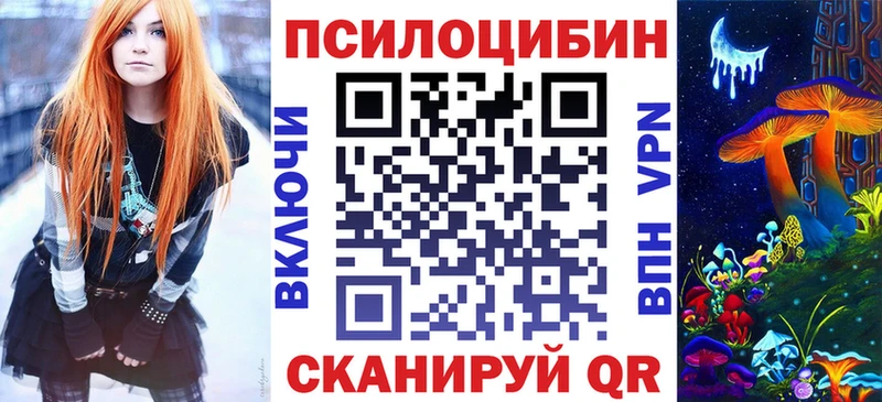 Псилоцибиновые грибы Cubensis  наркошоп  Кочубеевское 