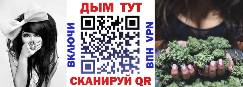 Каннабис индика  Кочубеевское 